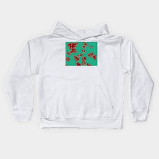 Daisies (green & red) Kids Hoodie